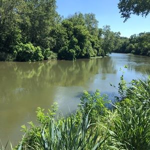 Meet your Posher, Jorge